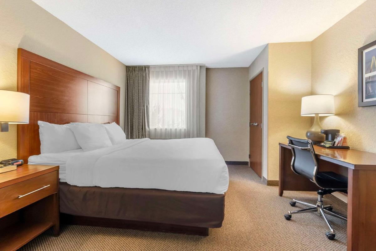 Comfort Inn & Suites Convention Center - image 3
