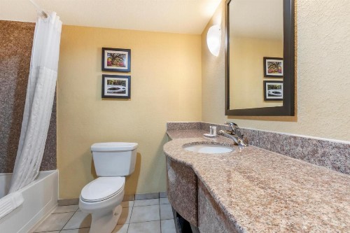 Comfort Inn & Suites Convention Center - image 41