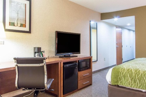 Comfort Inn & Suites Convention Center - image 43