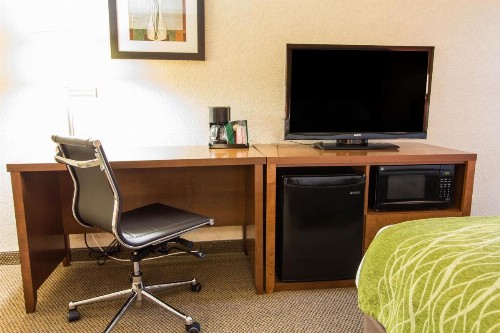 Comfort Inn & Suites Convention Center - image 8