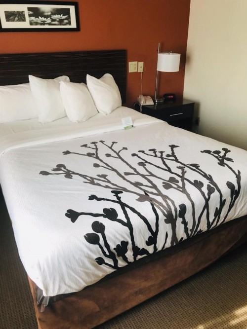 Sleep Inn North Charleston Ashley Phosphate - image 19