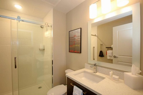 TownePlace Suites by Marriott Charleston-North Charleston - image 11