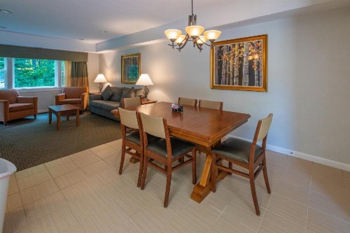 Red Jacket Mountain View Hotel - image 4