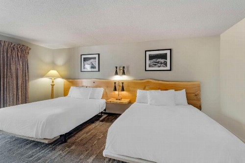 Green Granite Inn - image 49