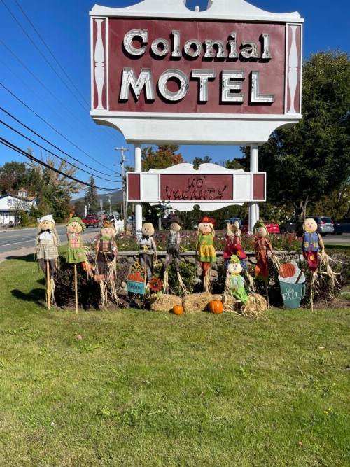Colonial Motel - image 47