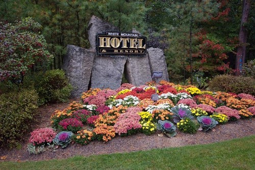 White Mountain Hotel and Resort - image 29