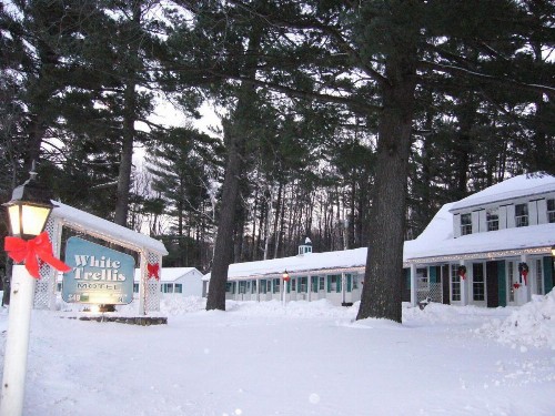 White Trellis Motel - image 2
