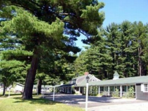 White Trellis Motel - image 5