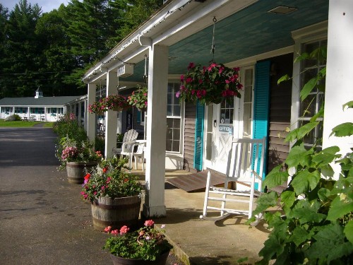 White Trellis Motel - image 7