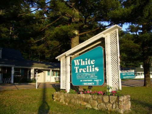 White Trellis Motel - image 8