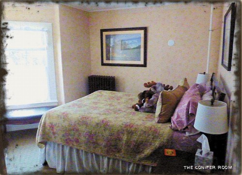 Spruce Moose Lodge - image 24