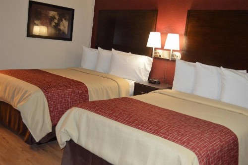 Red Roof Inn & Suites Sacramento North - image 7