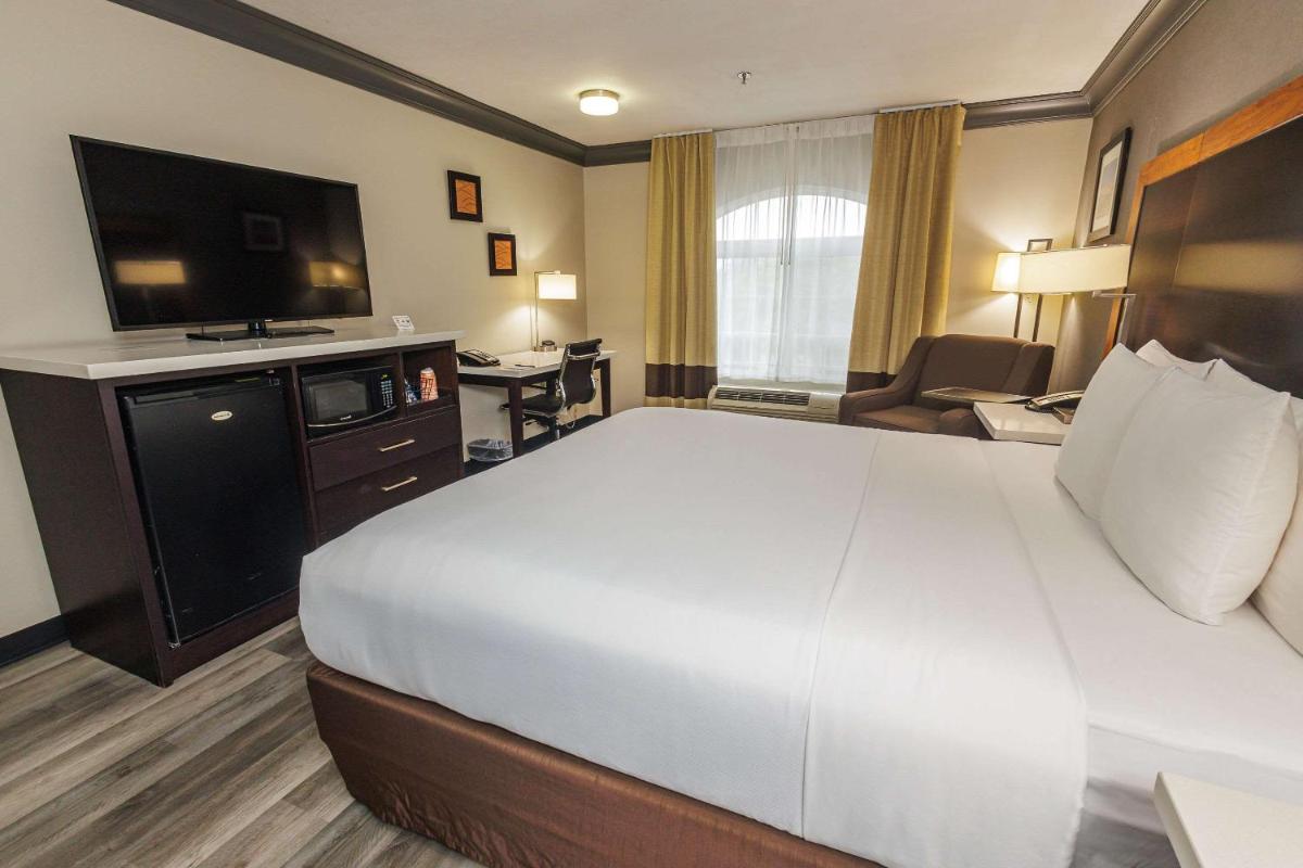 Comfort Inn & Suites Near Universal - North Hollywood – Burbank - main image