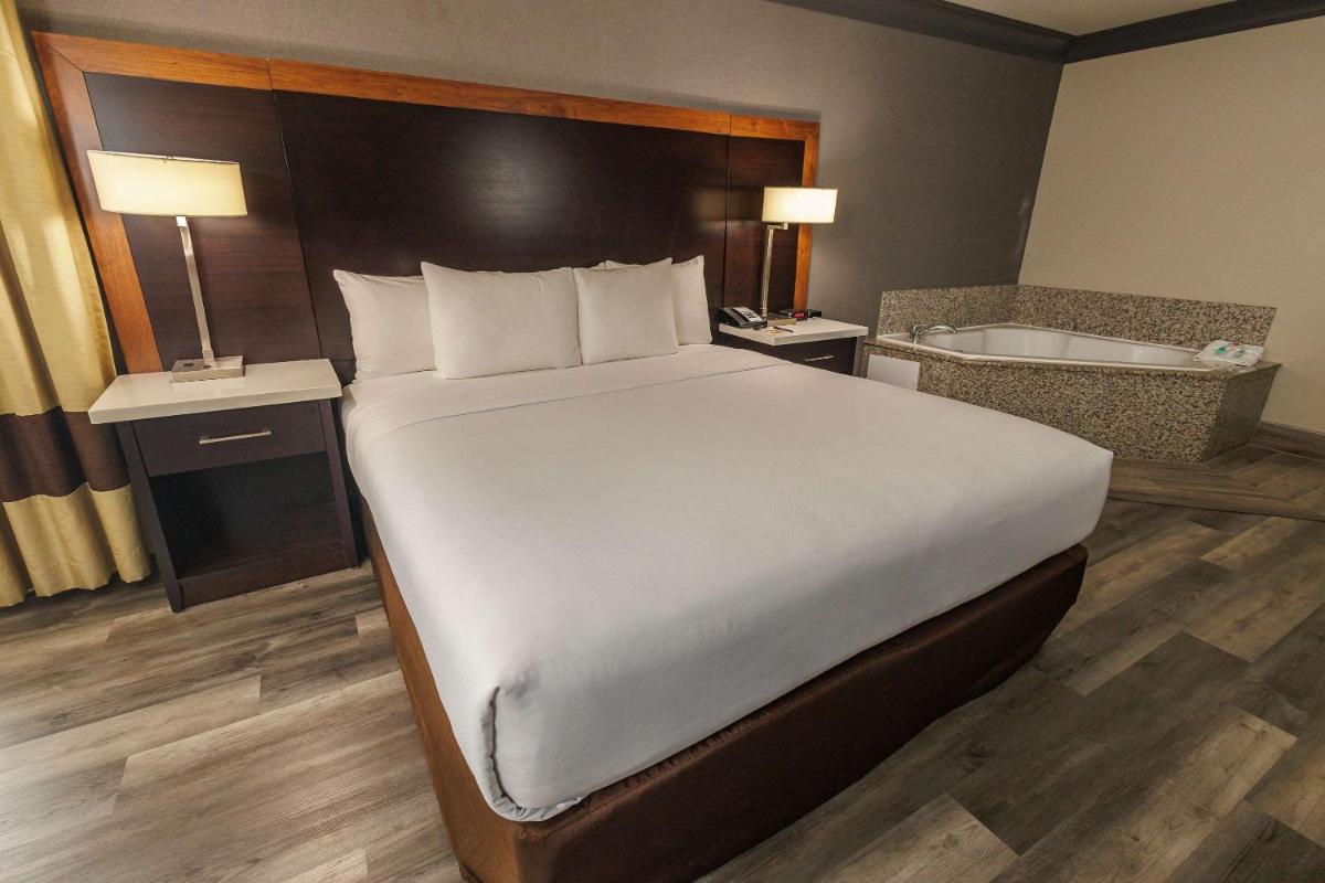 Comfort Inn & Suites Near Universal - North Hollywood – Burbank - image 4