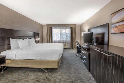 Best Western Plus North Las Vegas Inn & Suites - image 11