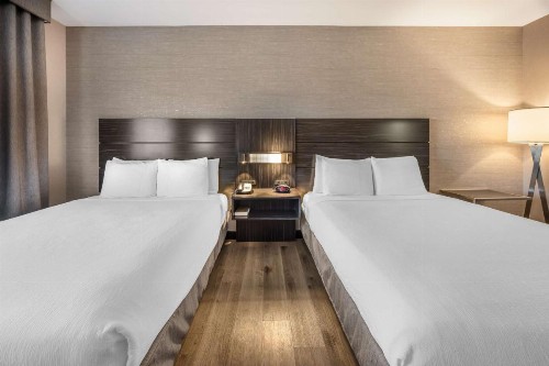 Best Western Plus North Las Vegas Inn & Suites - image 33