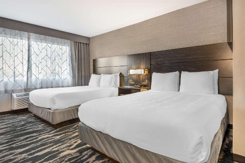 Best Western Plus North Las Vegas Inn & Suites - image 5