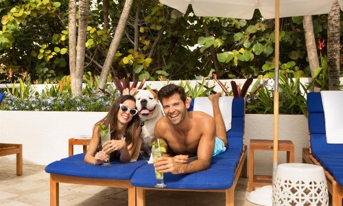 Sole Miami A Noble House Resort - image 15
