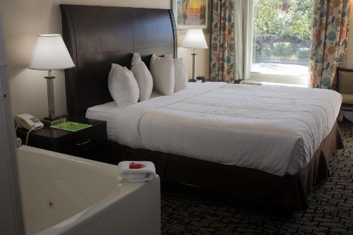 SureStay Hotel by Best Western North Myrtle Beach - image 3