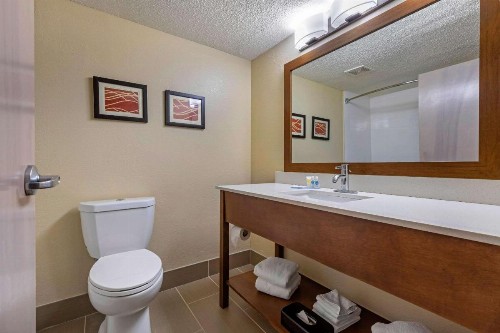 Comfort Inn N Myrtle Beach Barefoot Landing - image 10