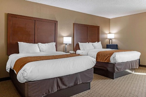 Comfort Inn N Myrtle Beach Barefoot Landing - image 14