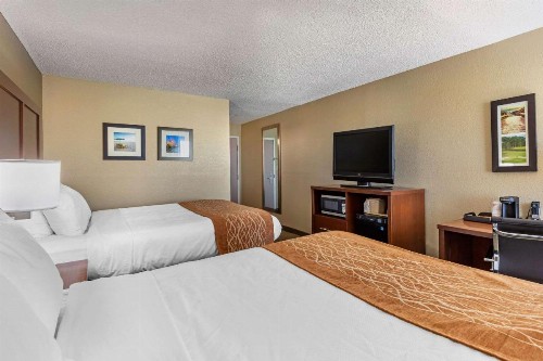 Comfort Inn N Myrtle Beach Barefoot Landing - image 24
