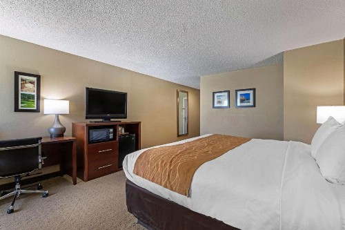 Comfort Inn N Myrtle Beach Barefoot Landing - image 4