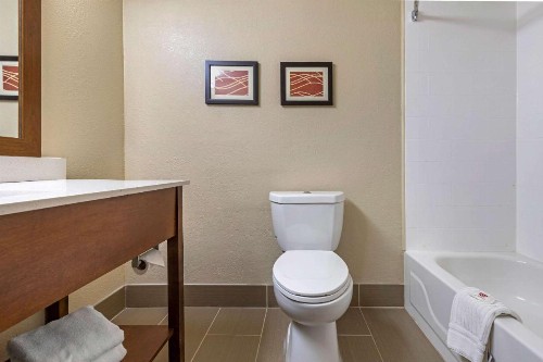 Comfort Inn N Myrtle Beach Barefoot Landing - image 8