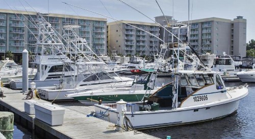 Harbourgate Marina Club - image 46