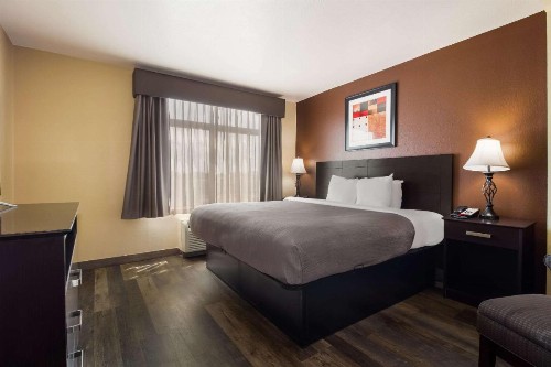 Quality Inn & Suites North Myrtle Beach - image 15