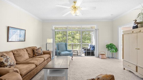 223 Wedgewood - image 11