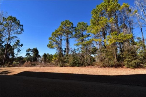 713 Ironwood Condo - image 16