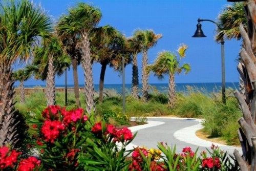 Sea Cloisters 305C Condo - image 18