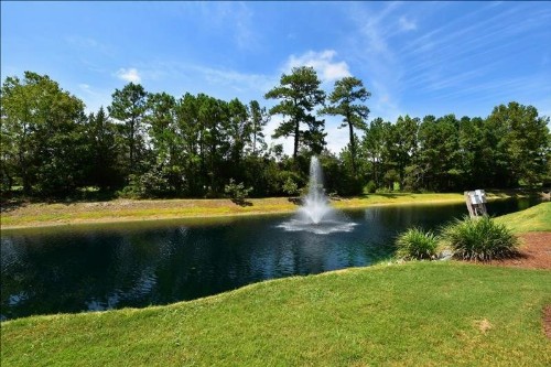 1514 Ironwood Home - image 15