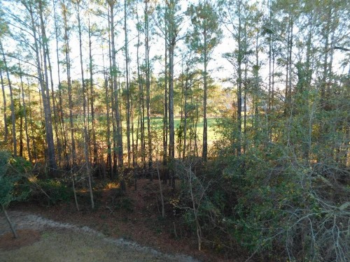 Arbor Trace Condo #635