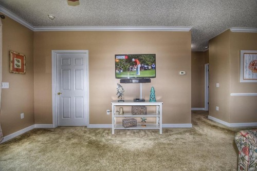 421 The Havens condo - image 7
