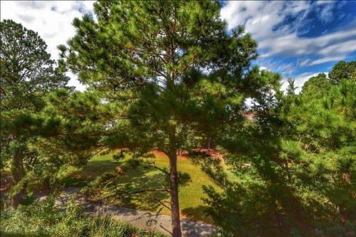 433 Cypress Bend condo - image 16
