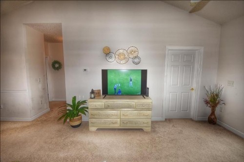 433 Cypress Bend condo - image 8