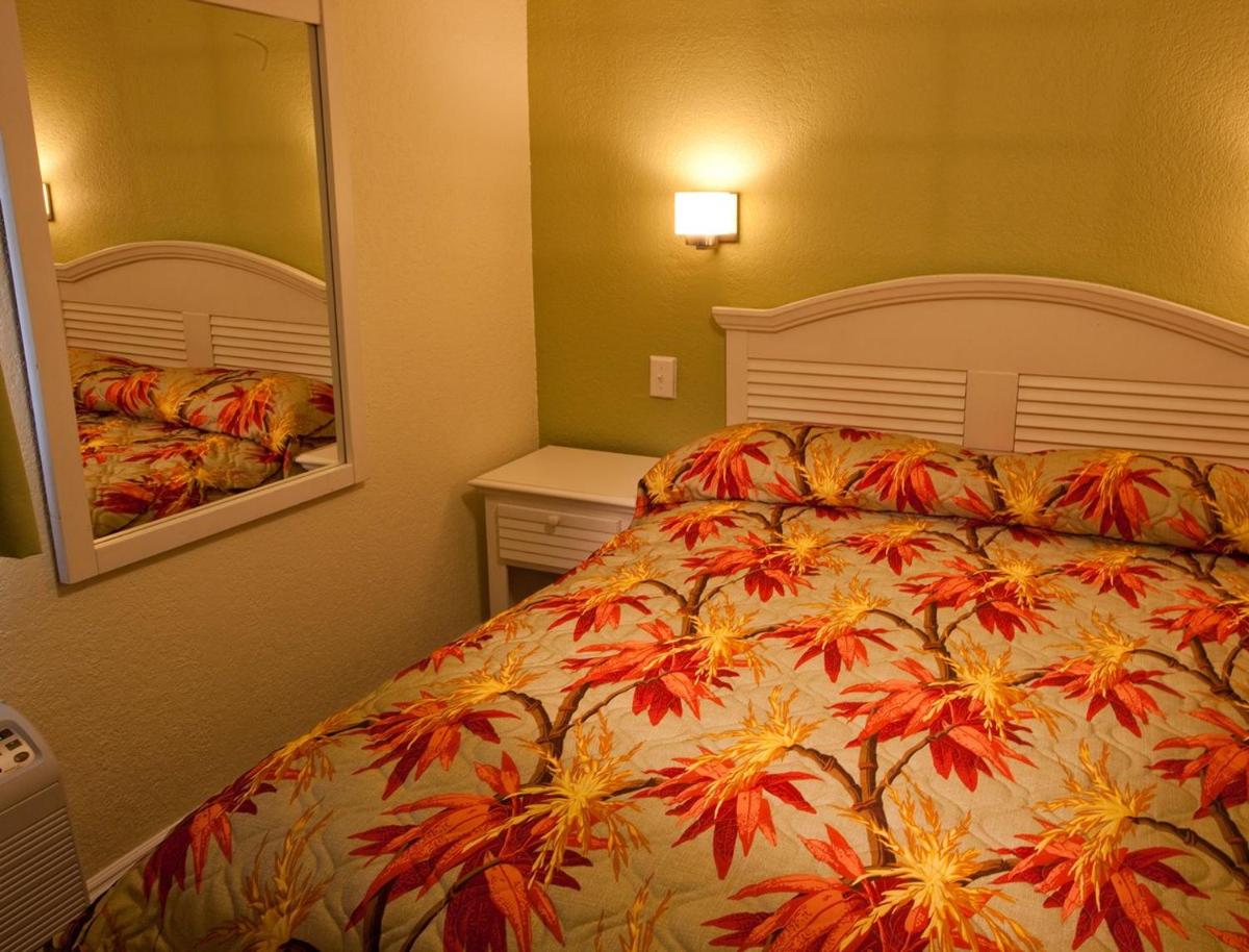 Year-round Oceanfront Suite at Sunny Myrtle Beach - One Bedroom #1 - image 5