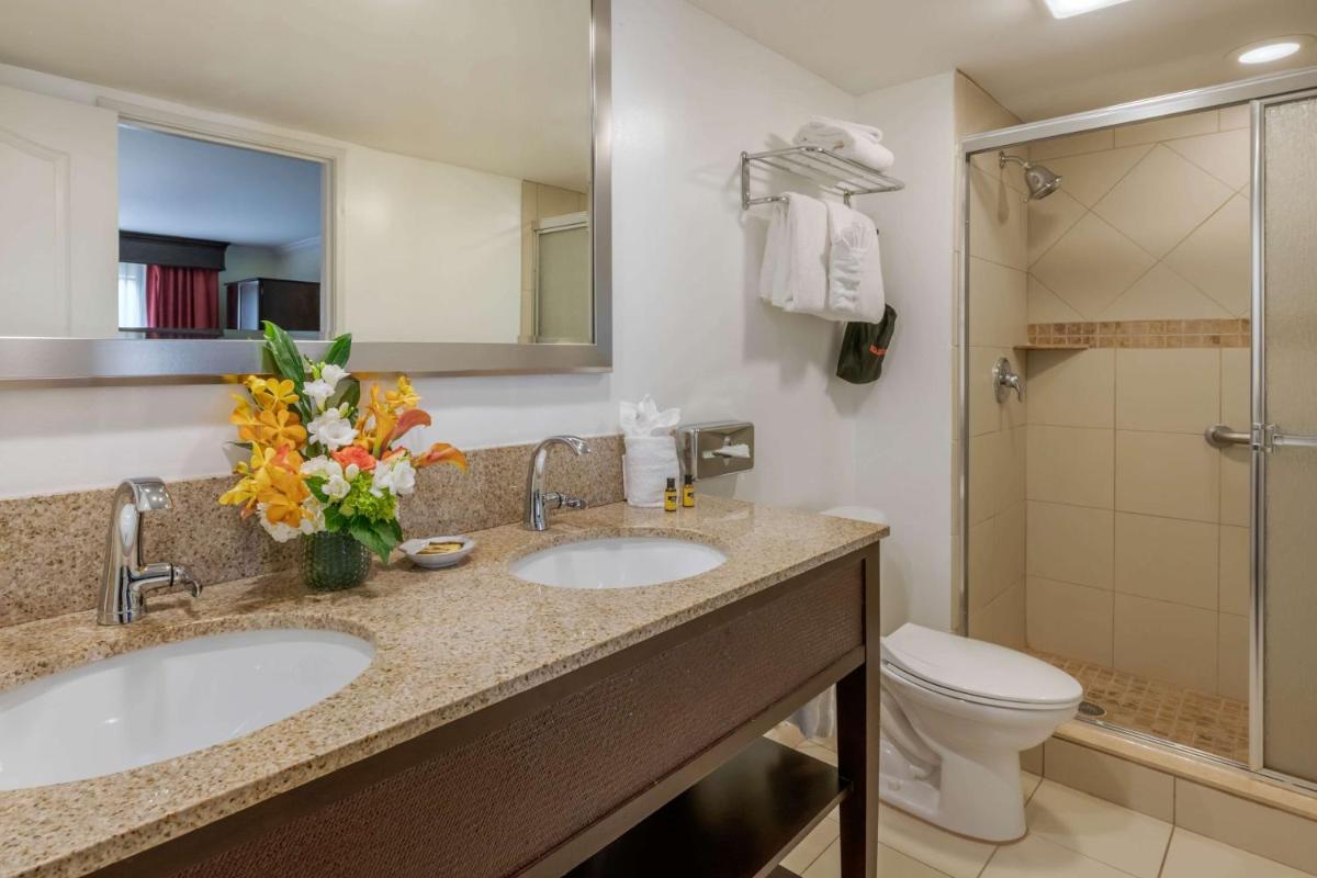 Best Western Plus Palm Beach Gardens Hotel & Suites and Conference Ct - image 3