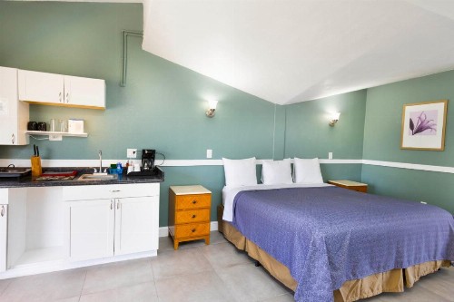 Warm Mineral Springs Motel - image 18