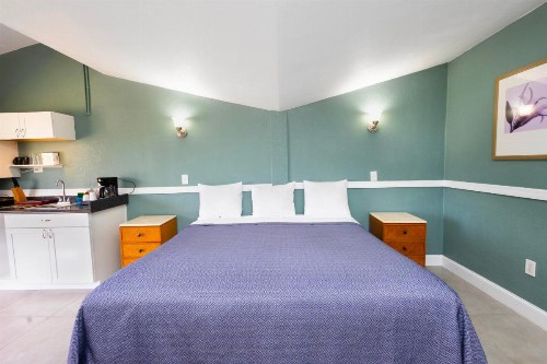 Warm Mineral Springs Motel - image 32