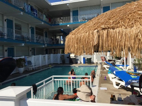 Bird of Paradise Motel - image 11
