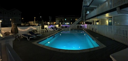 Bird of Paradise Motel - image 21