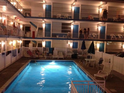 Bird of Paradise Motel - image 28