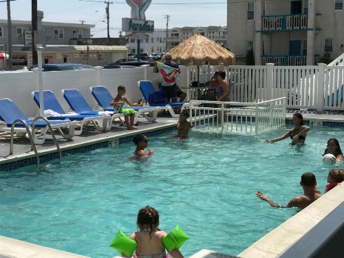 Bird of Paradise Motel - image 3