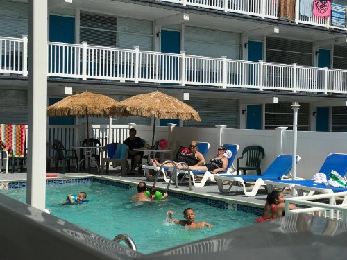 Bird of Paradise Motel - image 39