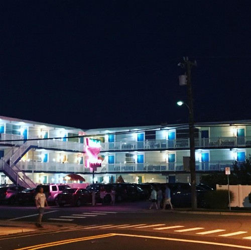 Bird of Paradise Motel - image 46
