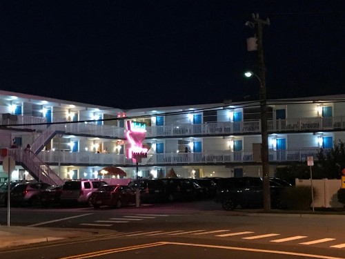 Bird of Paradise Motel - image 47