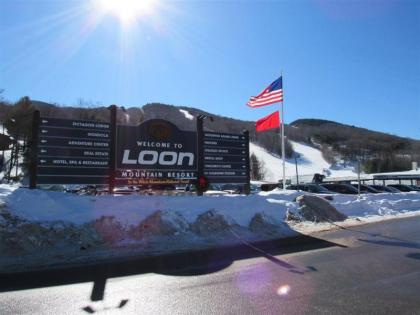 Deer Park Resort Vacation Rental Close to Many NH Attractions - image 11